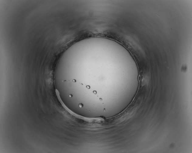 X0000101691156200807241402