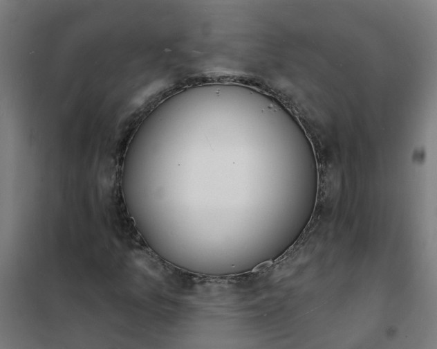 X0000101691157200807241402