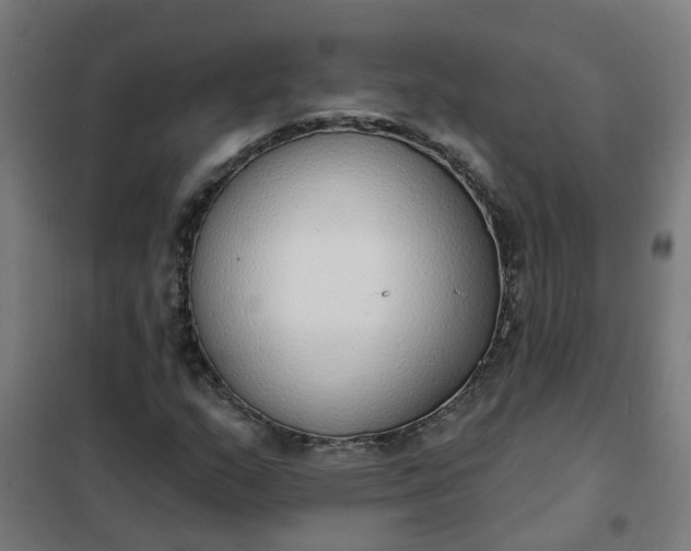 X0000101691159200807241402