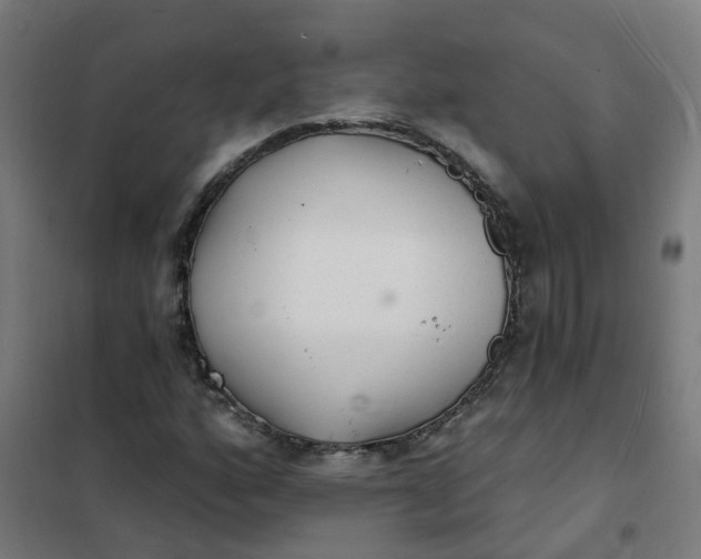 X0000101691160200807241402