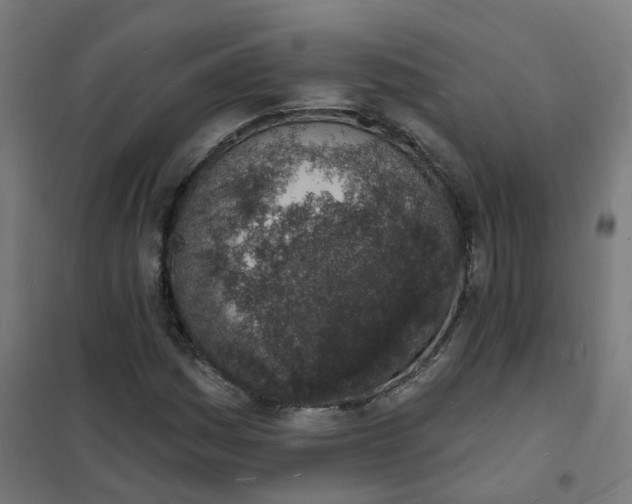 X0000101691161200807241402