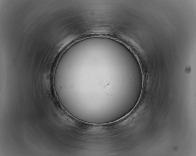 X0000101691162200807241402