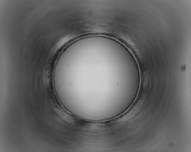 X0000101691163200807241402