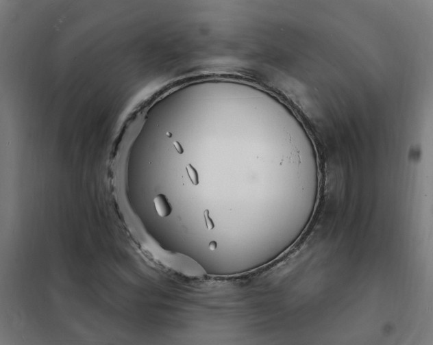 X0000101691164200807241402