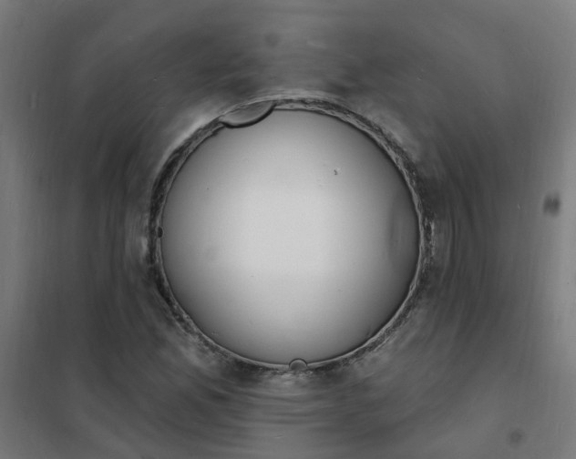 X0000101691165200807241402