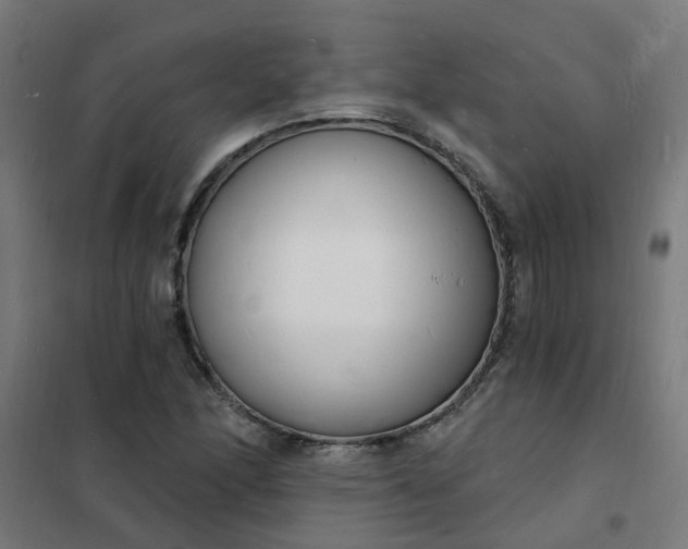 X0000101691166200807241402