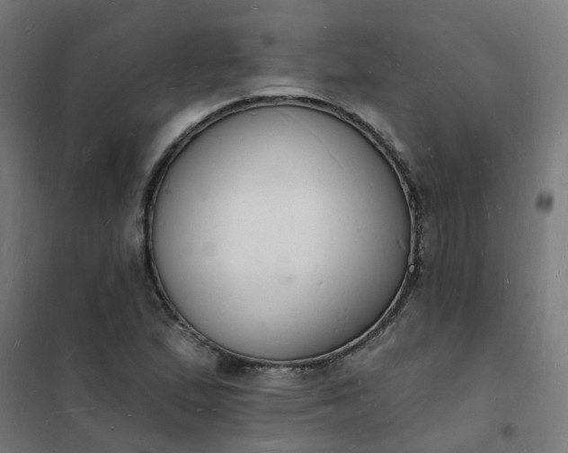 X0000101691167200807241402