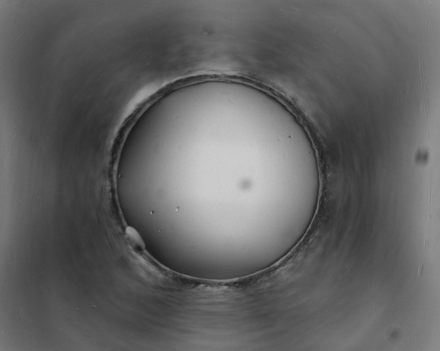 X0000101691168200807241402