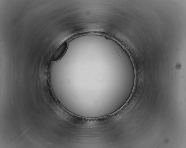 X0000101691169200807241402