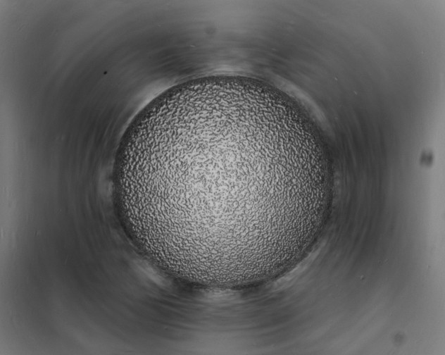 X0000101691170200807241402