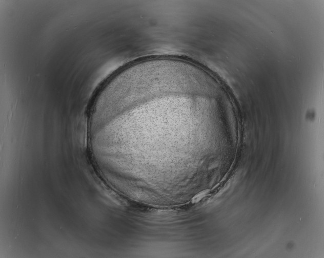 X0000101691171200807241402