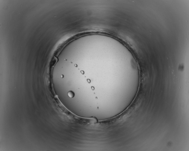 X0000101691172200807241402