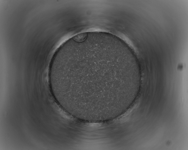 X0000101691173200807241402