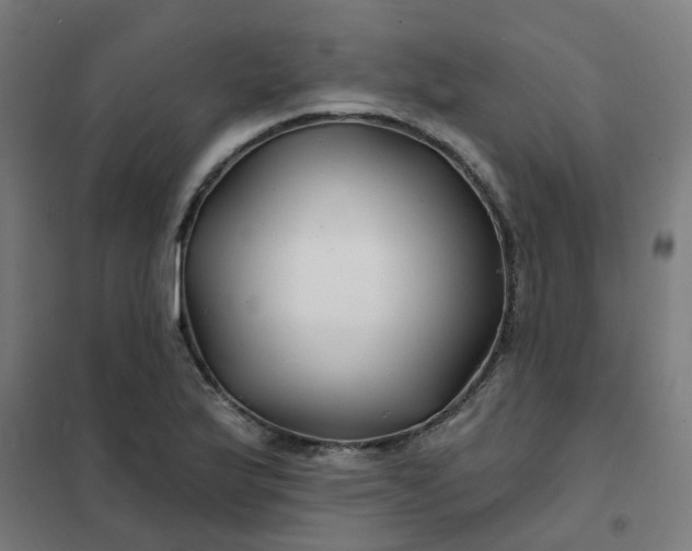 X0000101691175200807241402