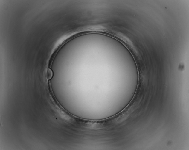 X0000101691176200807241402