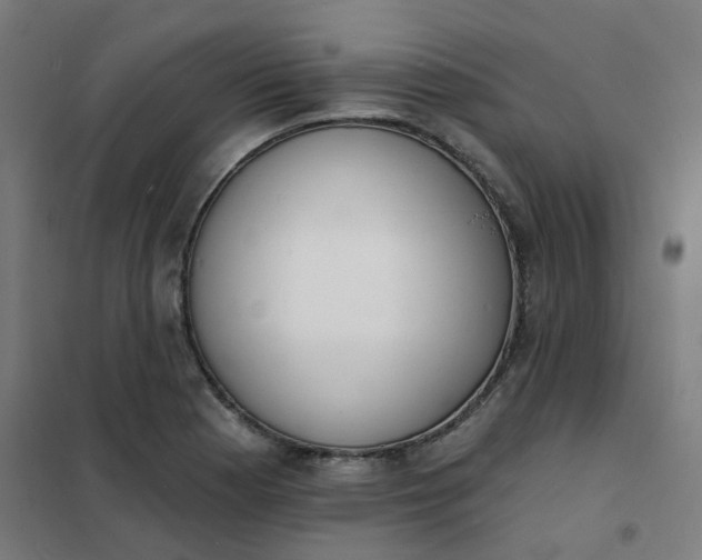 X0000101691177200807241402