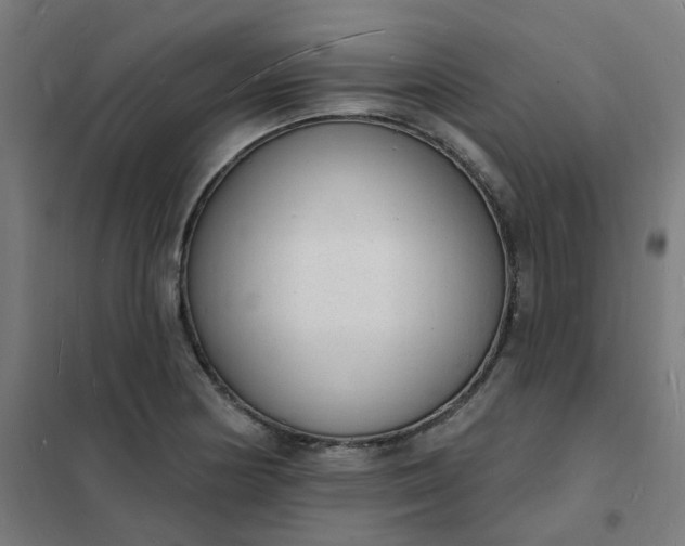 X0000101691178200807241402