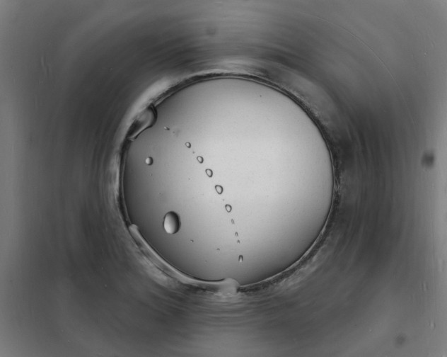 X0000101691180200807241402