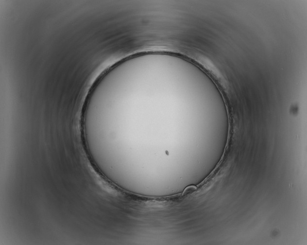 X0000101691181200807241402