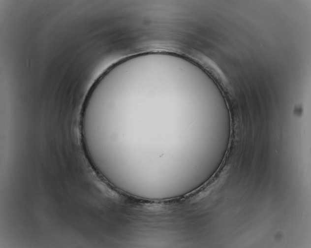 X0000101691182200807241402