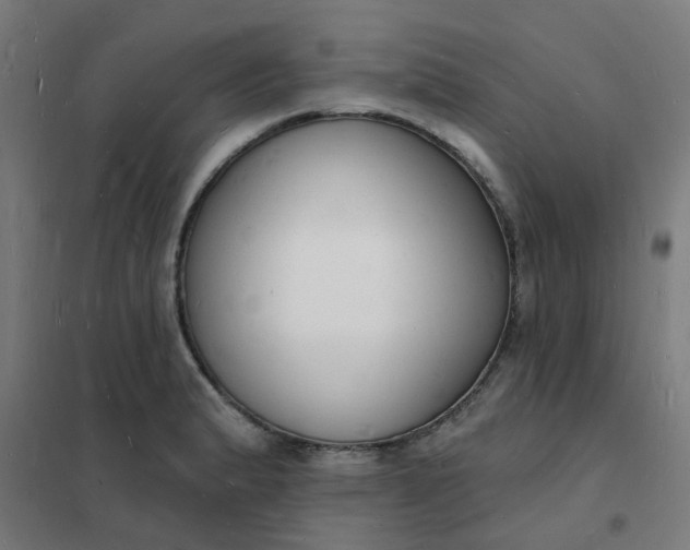 X0000101691183200807241402