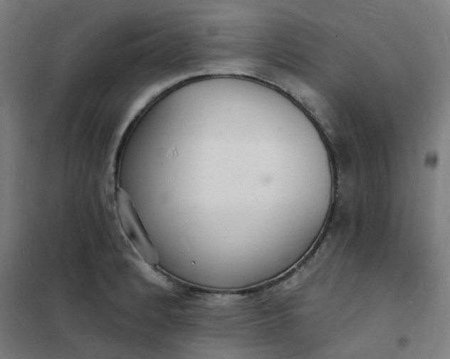 X0000101691184200807241402