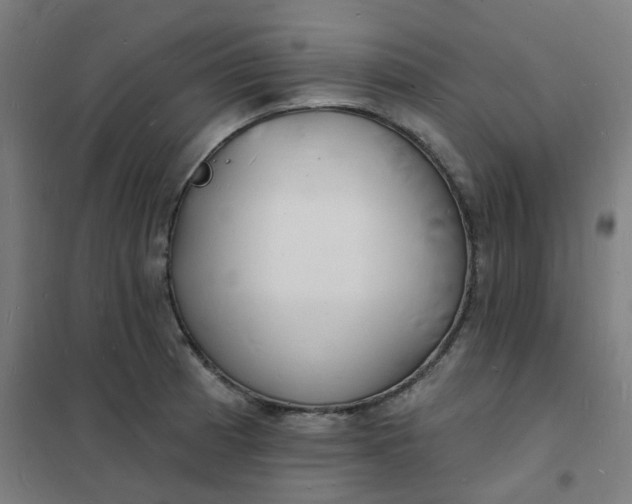 X0000101691185200807241402