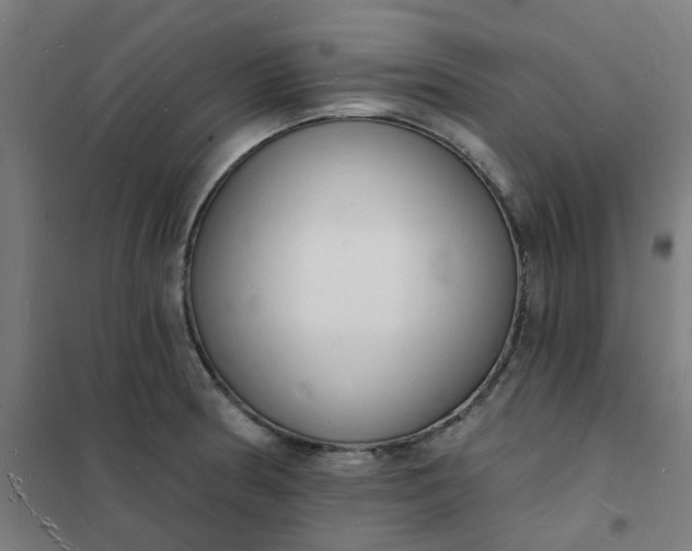 X0000101691186200807241402