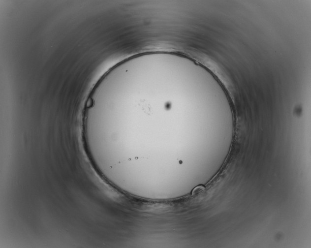 X0000101691187200807241402