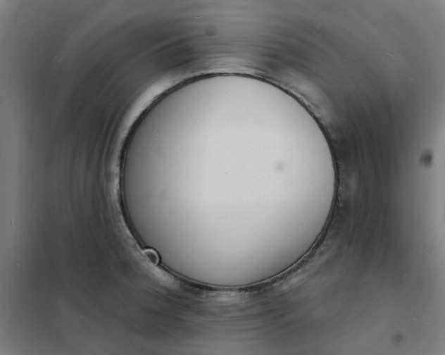 X0000101691188200807241402