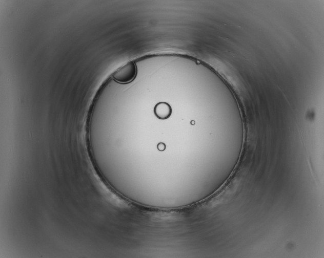 X0000101691189200807241402