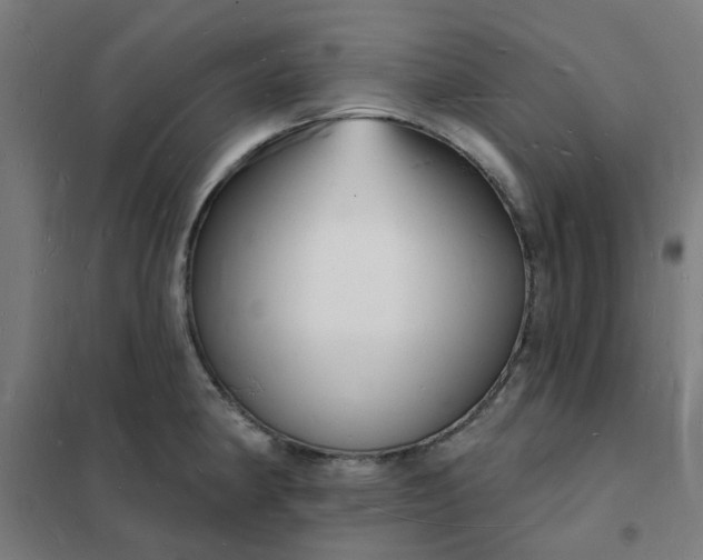 X0000101691190200807241402