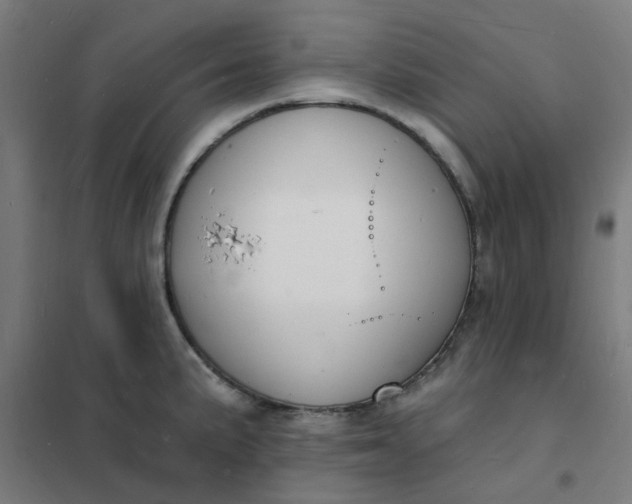 X0000101691191200807241402