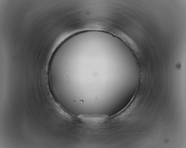 X0000101691192200807241402