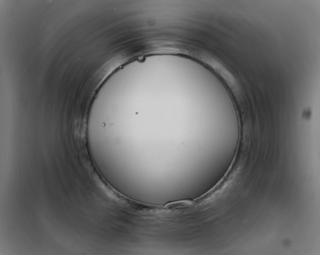 X0000101691193200807241402