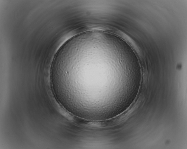 X0000101691194200807241402