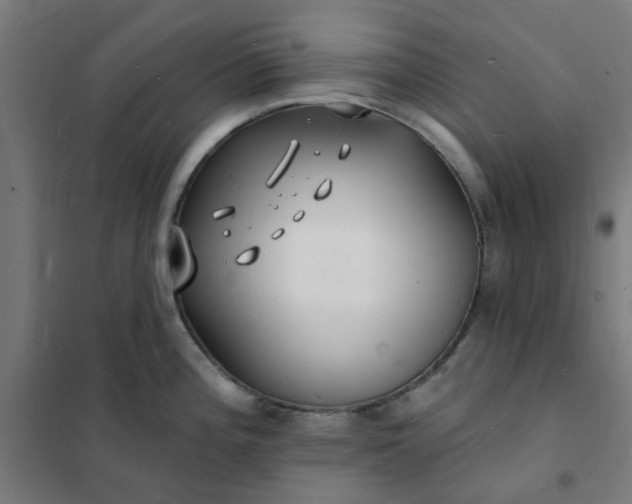 X0000101691196200807241402