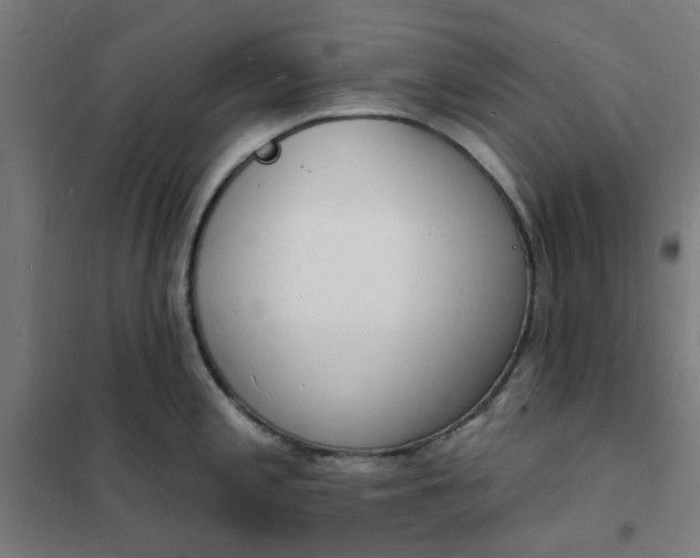 X0000101691197200807241402