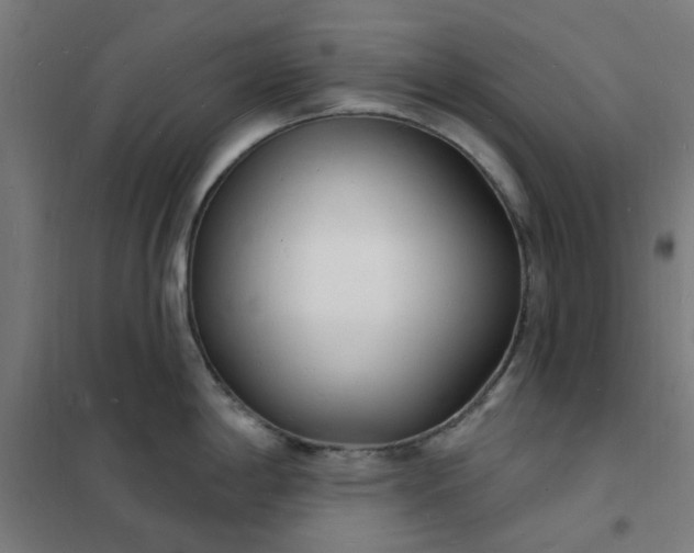 X0000101691198200807241402