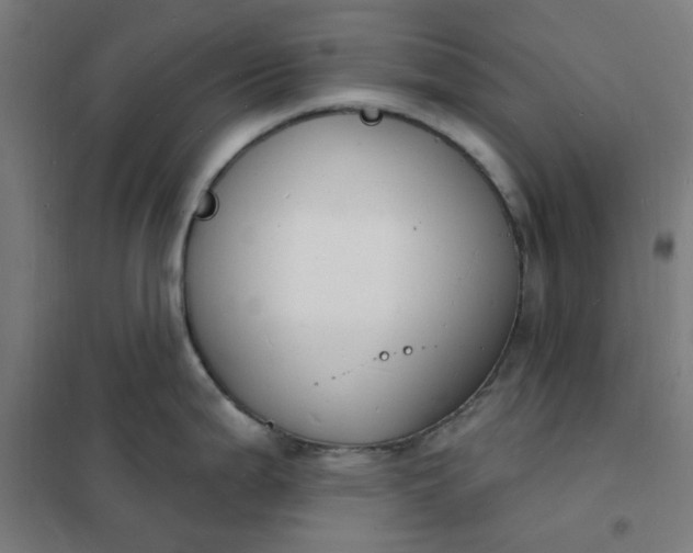 X0000101691199200807241402