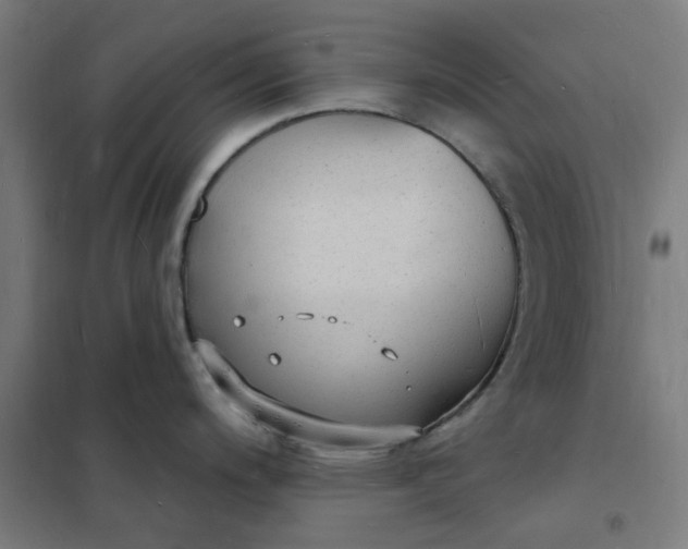 X0000101691200200807241402