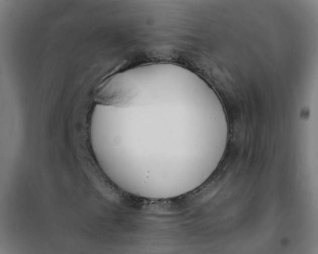 X0000101691201200807241401