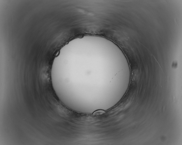 X0000101691202200807241401