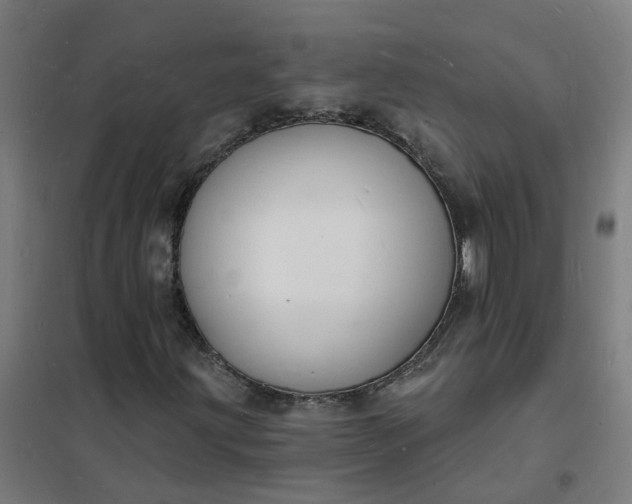 X0000101691203200807241401