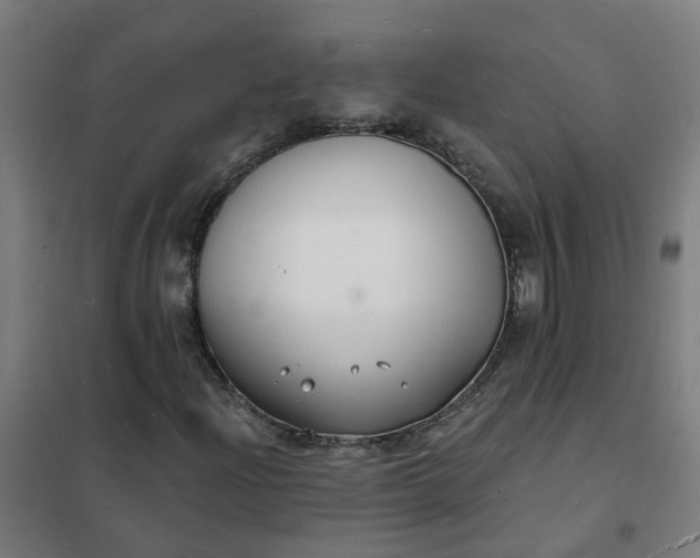 X0000101691204200807241401