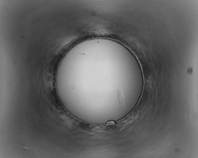 X0000101691205200807241401