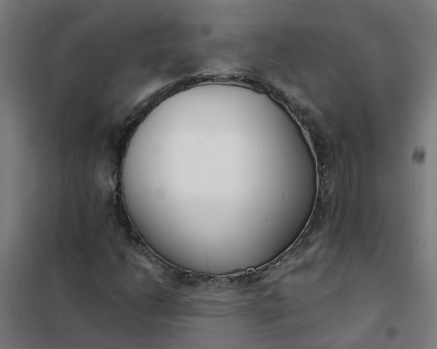 X0000101691206200807241401