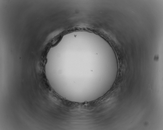 X0000101691207200807241401