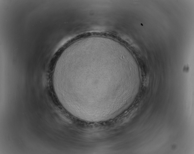 X0000101691208200807241401