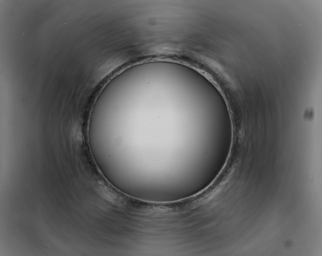 X0000101691209200807241401